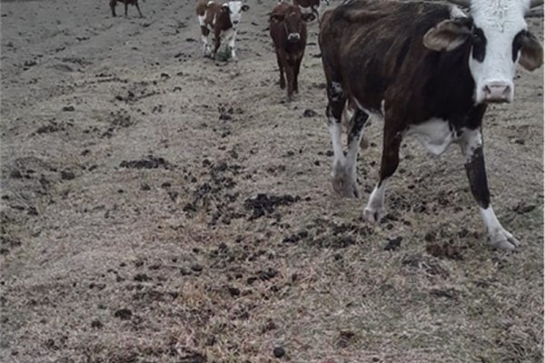 Las 13 localidades de Corrientes que Nación declara en emergencia