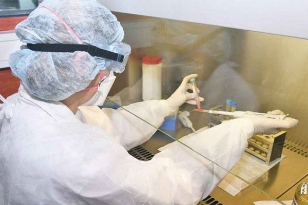 Corrientes sumó 48 nuevos contagios de Coronavirus: 44 son de Capital
