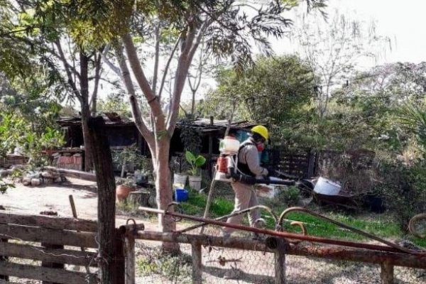 Dengue: Salud Pública realizó bloqueo vectorial en Capital