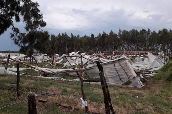 Impactantes imágenes de lo que dejó el temporal en el interior