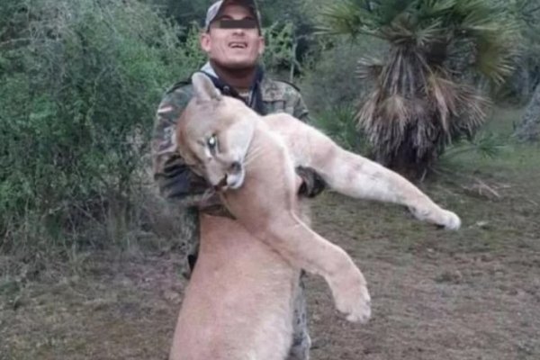 Detuvieron al hombre que cazó un puma en Corrientes