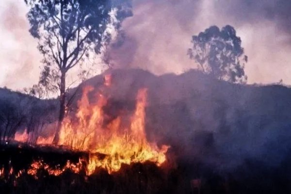 Greenpeace advierte que el fuego ya arrasó casi 5.000 hectáreas del Parque Nacional Calilegua