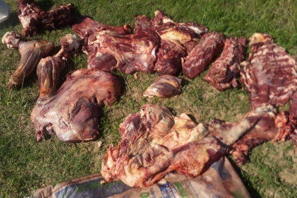 Incautaron carne vacuna y detuvieron a un hombre en Concepción