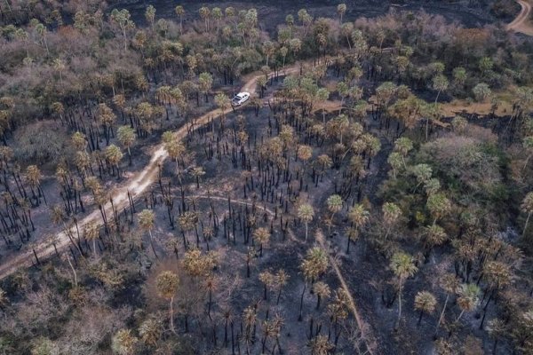 El fuego consumió más del 90% del Parque provincial San Cayetano