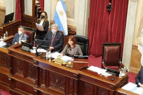 El Senado convirtió en ley el proyecto que declara de interés público la vacuna Covid-19