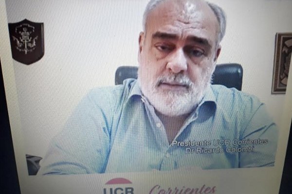 Colombi destacó la imagen de Alfonsín pero en la provincia cerró la UCR a internas