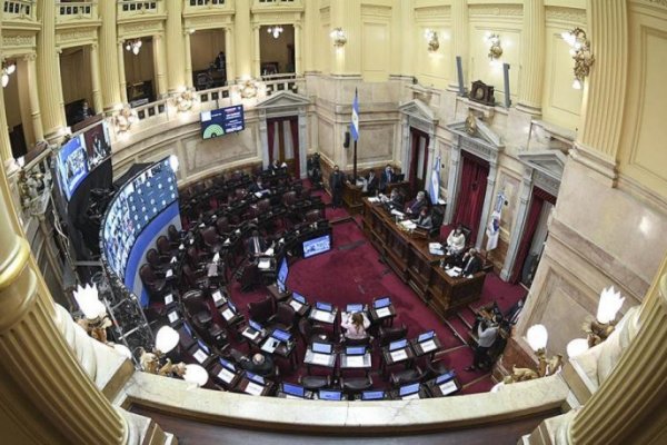 El Senado convirtió en ley el proyecto que refinancia las deudas de las provincias con ANSES