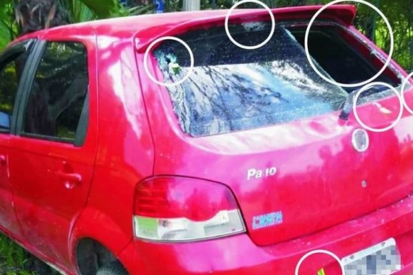 Crimen del botánico: rechazaron cambio de carátula y citaron a testigo clave