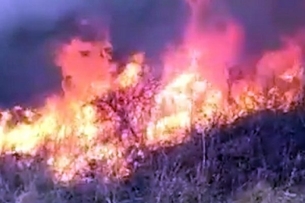 Bomberos combaten un incendio en el norte de la provincia de San Luis