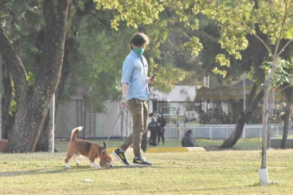 Los perros ya no podrán pasear por espacios públicos sin correa