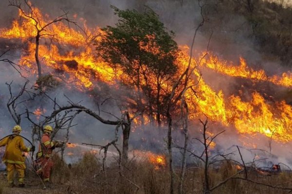 Incendios forestales: focos activos en cinco provincias
