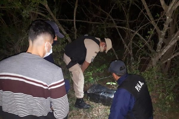 Prefectura secuestró más de 55 kilos de droga en operativos en Corrientes y Misiones