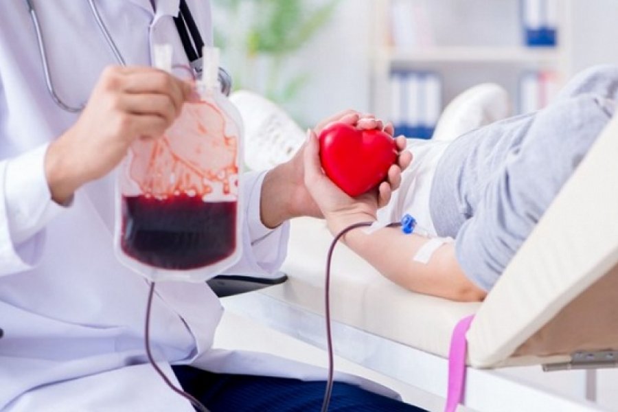 Día Nacional del Donante de Sangre