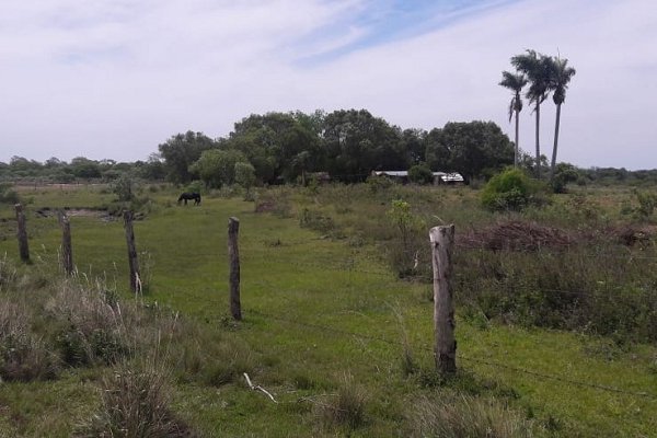 El ICAA realizó inspecciones de tierras fiscales en Isla Apipé