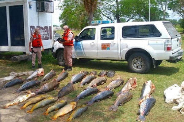 Prefectura incautó más de 600 kilos de pescado en Lavalle