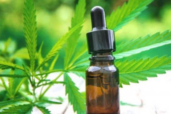 Valdés firmó el decreto que reglamenta la producción estatal del cannabis medicinal en Corrientes