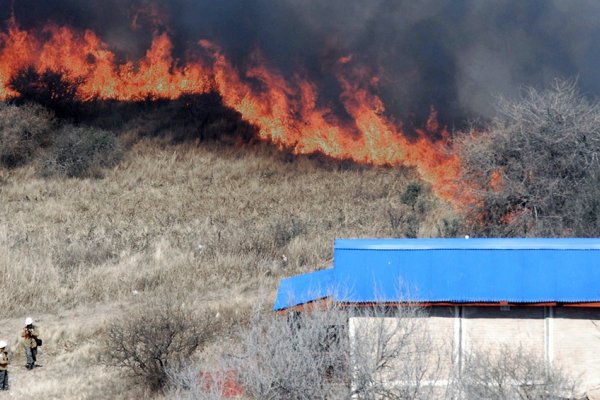 Diputados debatirá el proyecto que prohíbe la venta de tierras incendiadas