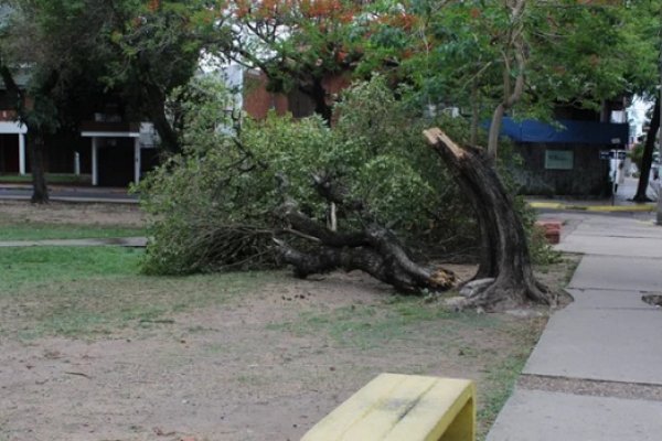 En varios barrios de Capital continúan los inconvenientes tras el temporal