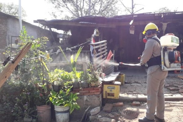 Corrientes: Hay cinco casos de Dengue en Capital