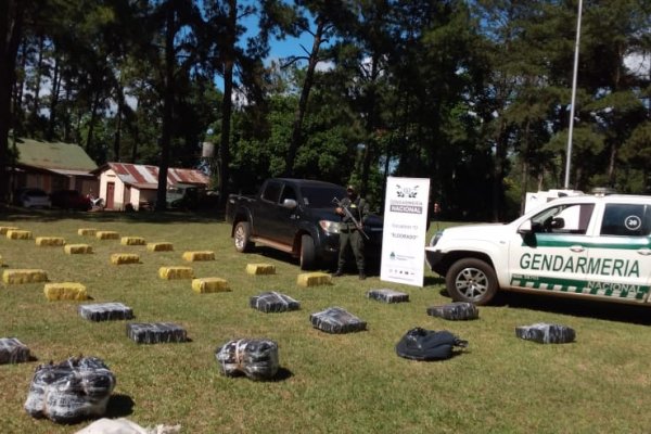 Gendarmería secuestró casi 800 kilos de marihuana