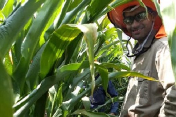 Como becario empezó a investigar sobre maíz en la UNNE y ahora sobresale en Estados Unidos