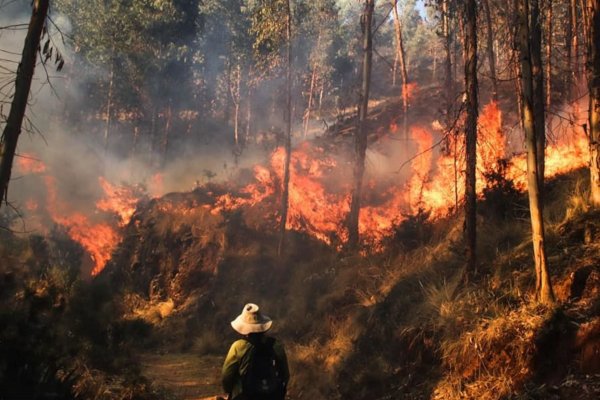 Se aprobó el proyecto que prohíbe la venta de terrenos afectados por incendios