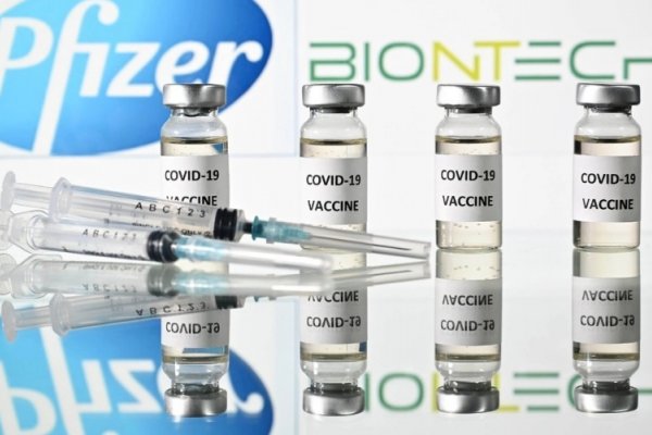 Coronavirus: la vacuna de Pfizer podría ser distribuida este año