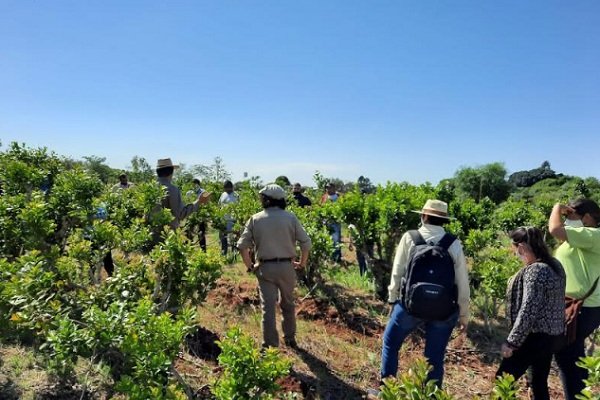 Comenzó el ciclo de capacitaciones para trabajadores yerbateros