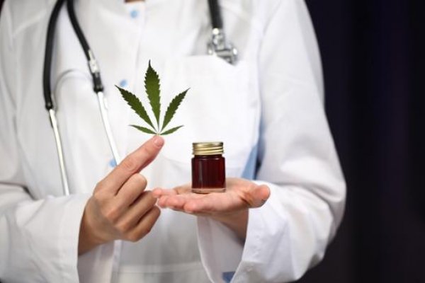 Cannabis: el Senado de México aprobó la legalización para uso medicinal y recreativo