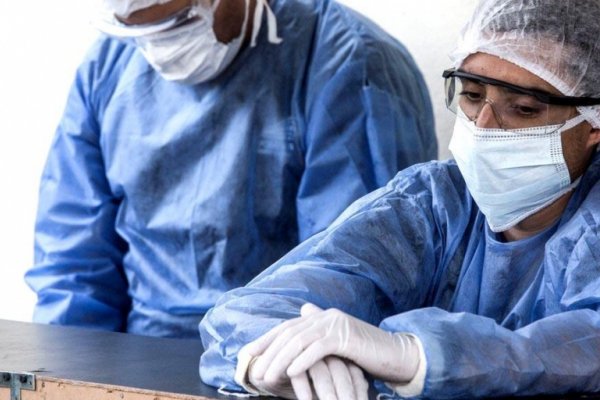 272 muertos y 13.667 nuevos contagios de Coronavirus en Argentina