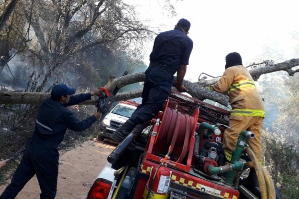 Un árbol cayó sobre el móvil de Bomberos de Mburucuyá