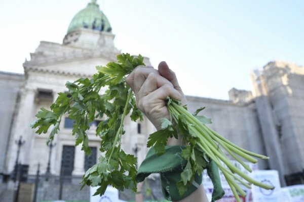 Diputados aprobaría la legalización del aborto antes de fin de año