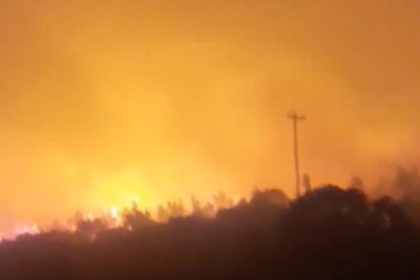Imágenes del impresionante incendio forestal en Virasoro