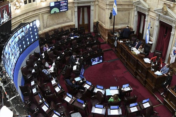 El Senado debatió el proyecto de aporte solidario de las grandes fortunas