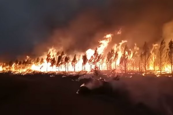 Impactantes imágenes del fuego que no da tregua en Virasoro