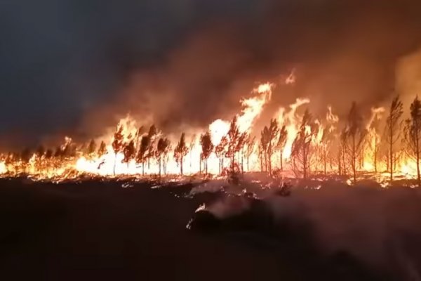 Corrientes: Nueve localidades bajo peligro extremo por el riesgo de incendios