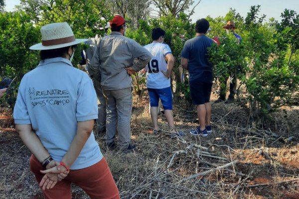 Continúa en Colonia Liebig y Virasoro la capacitación a yerbateros