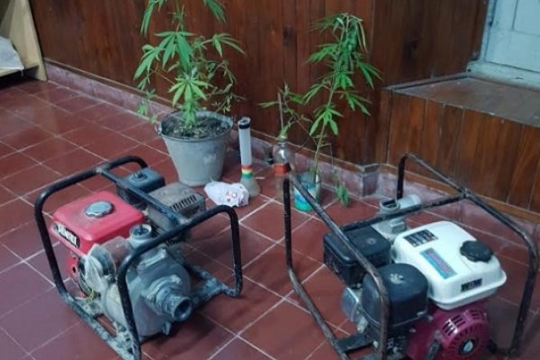 Allanamiento: Recuperaron elementos sustraídos e incautaron plantas de marihuana