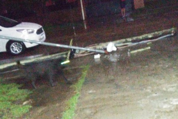 Fuertes ráfagas de viento, granizo, árboles y postes caídos