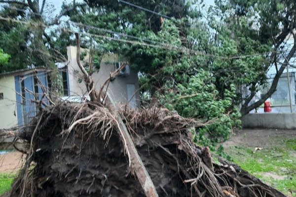 Un tornado azotó Empedrado y hay decenas de familias evacuadas