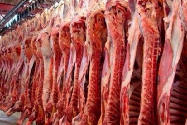 Carnicerías: Esperan nuevas subas en el precio