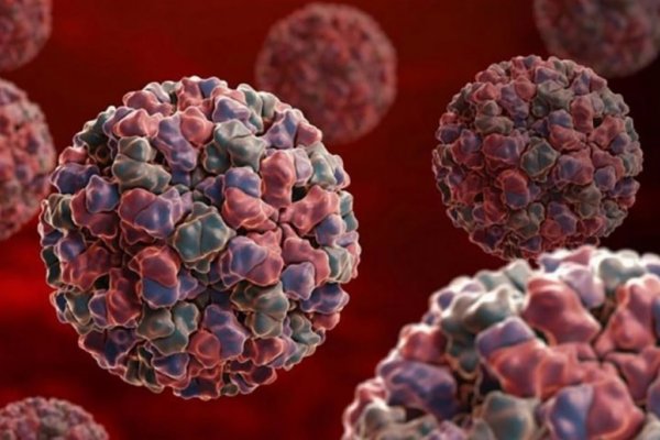 Alerta mundial por un brote de norovirus en China