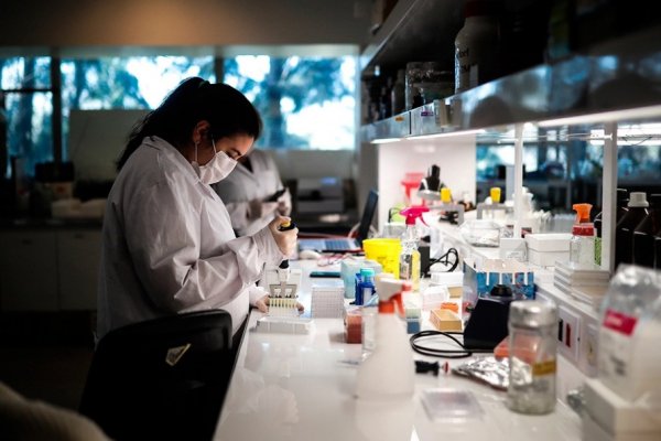 Qué es el Covax, el acuerdo firmado por más de 172 países por el coronavirus