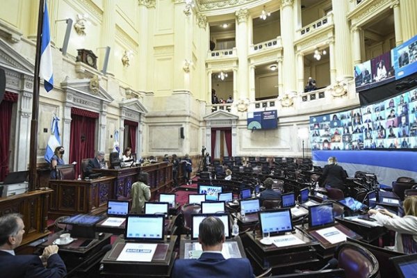 El Senado prevé votar la legalización del aborto el 29 de diciembre