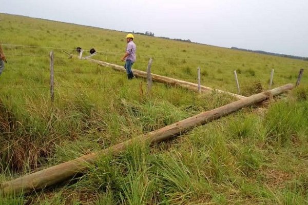 Nuevo colapso de la DPEC en todo el interior provincial