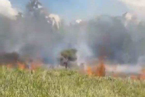 Incendio en San Carlos pone en riego postes de energía eléctrica