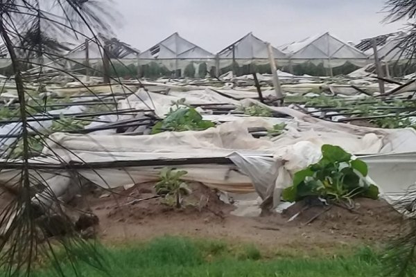 Temporal afectó localidades del interior