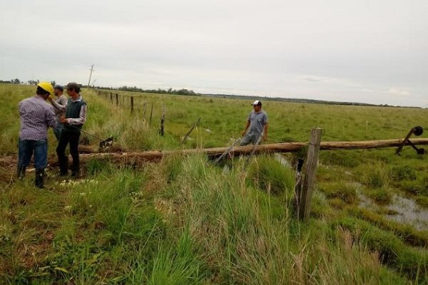 DPEC Goya dijo ser “castigada” por lluvias y calor