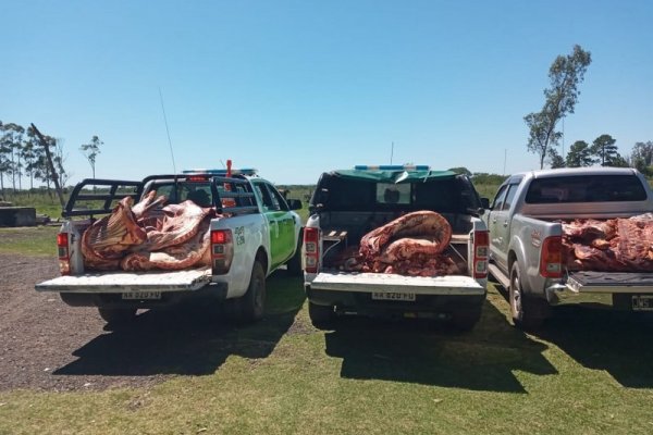 Decomisaron más de mil kilos de carne bovina en Alvear