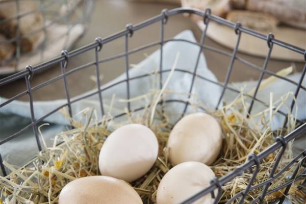¿Hay que lavar los huevos antes de guardarlos o usarlos?